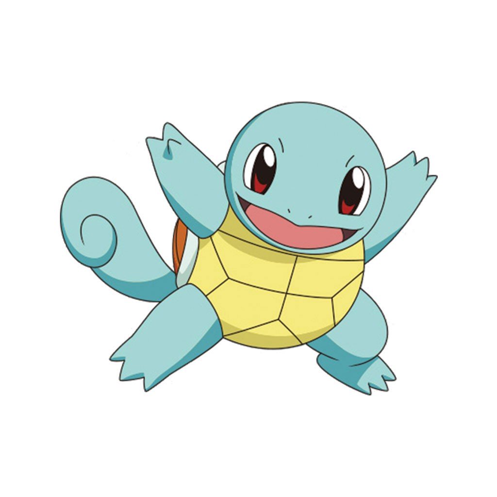 squirtle_sm.jpg